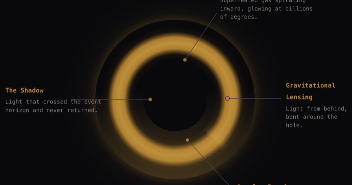 Inside a Black Hole
